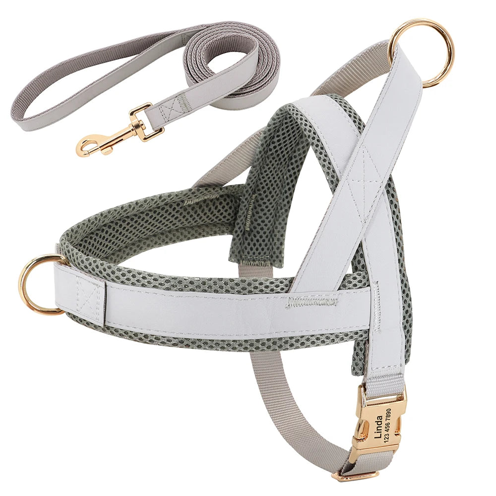 Blue 3 Set (Harness Collar Leash)