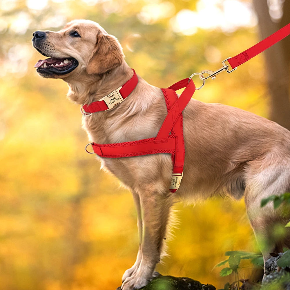 Red 2 Set (Harness Leash)