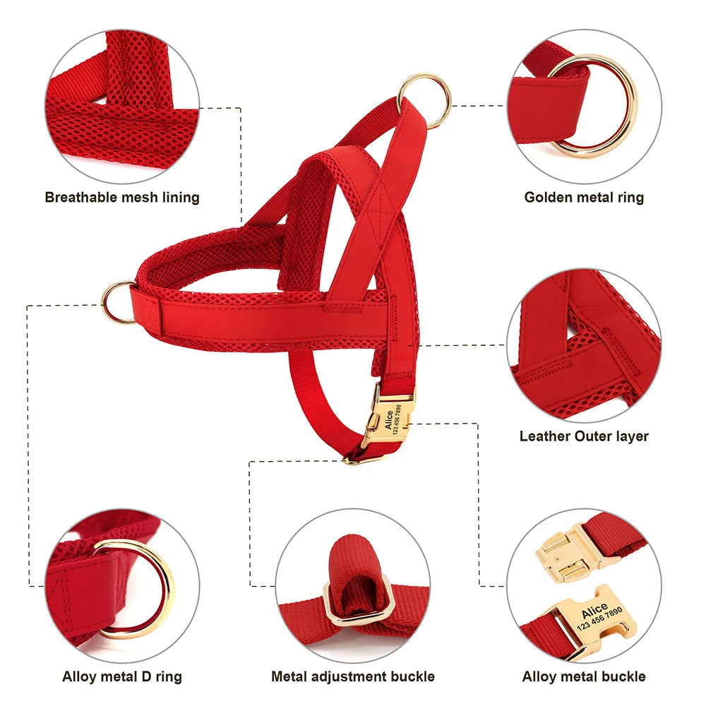 Red Harness