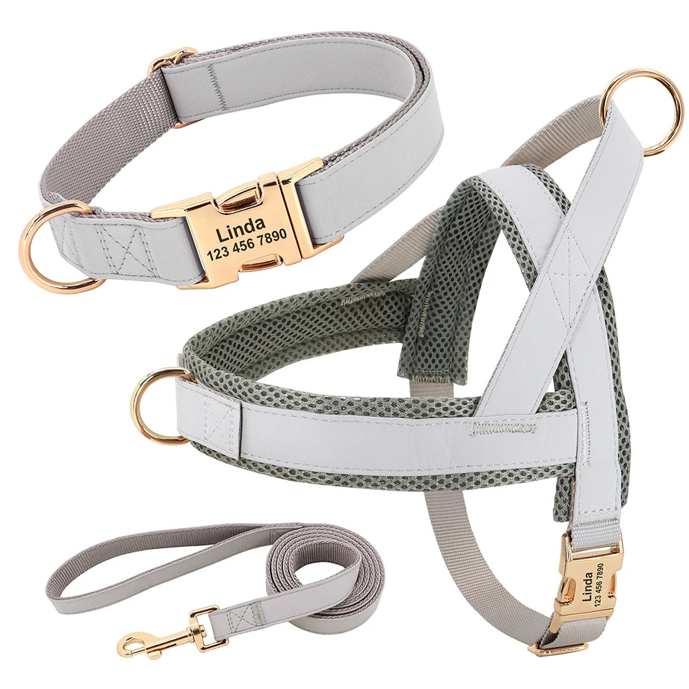 Blue 3 Set (Harness Collar Leash)