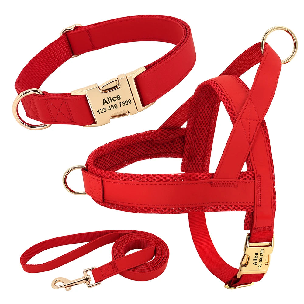 Red 2 Set (Harness Leash)