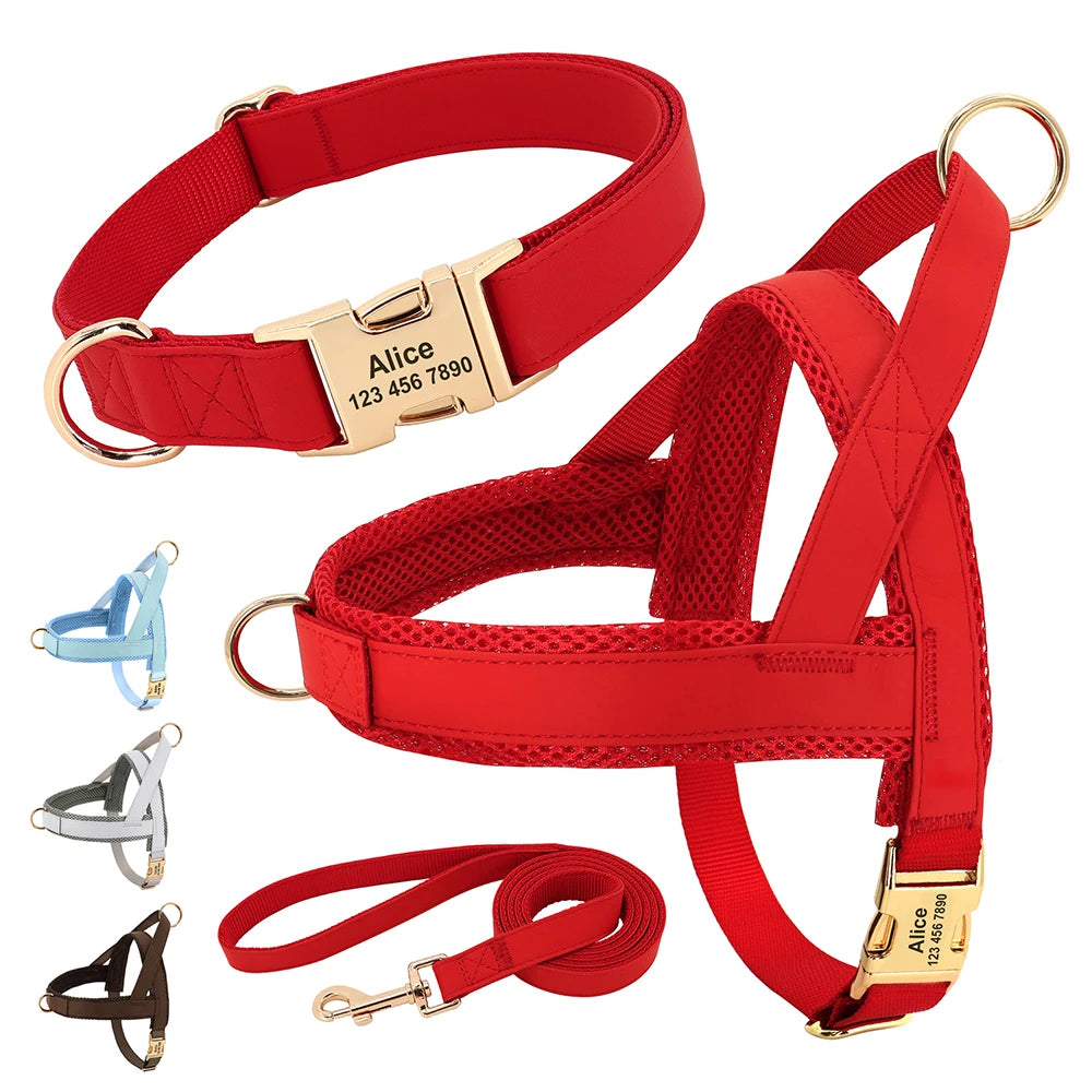 Blue 3 Set (Harness Collar Leash)