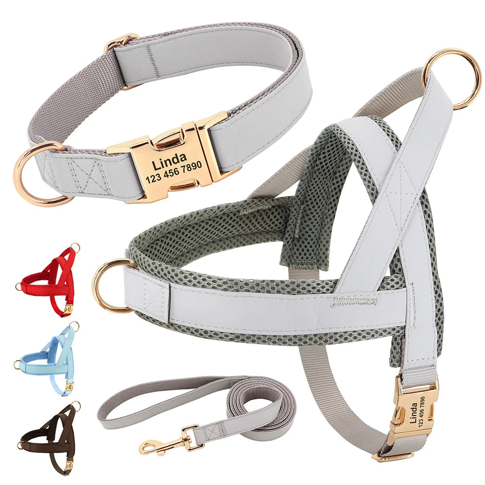 Gray Harness