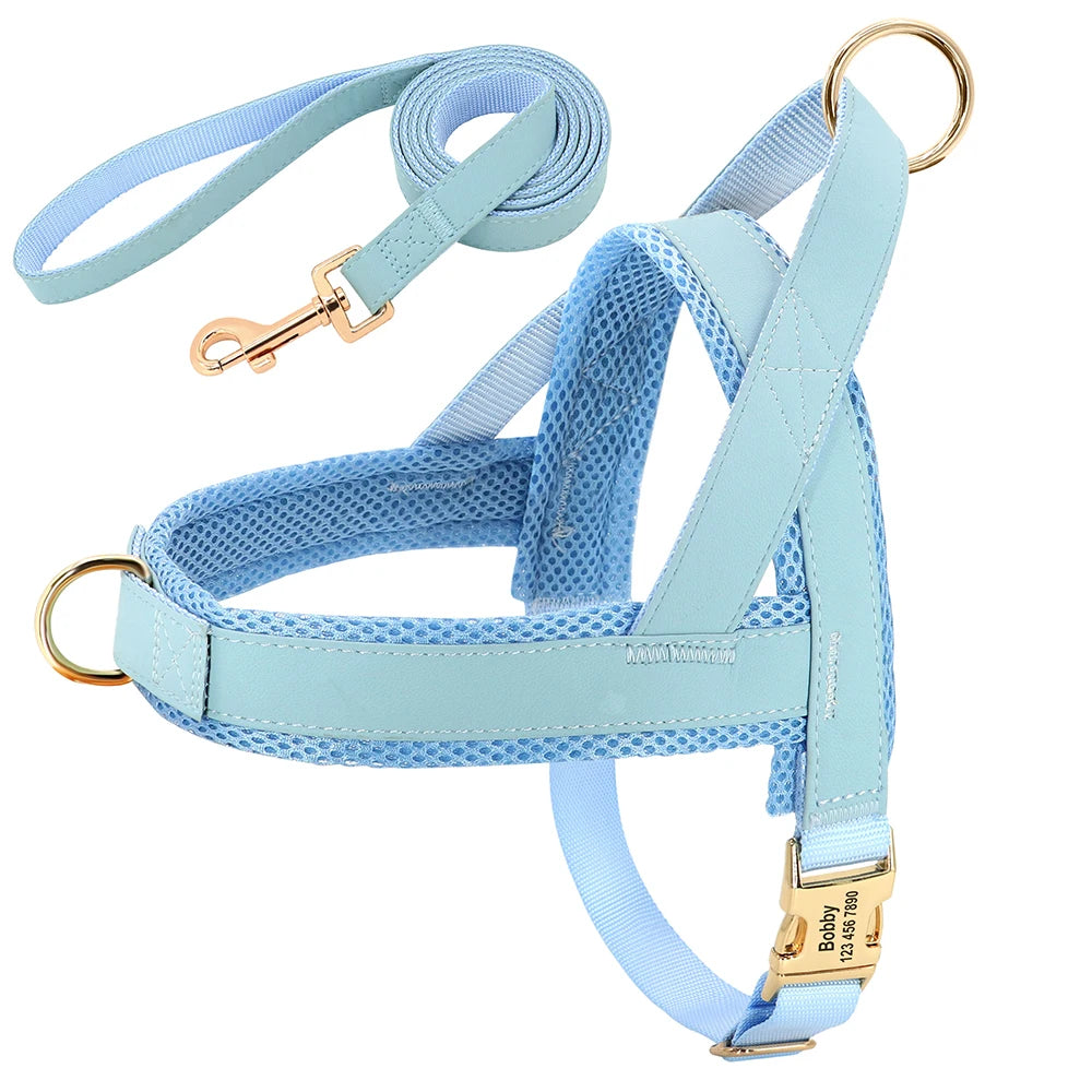 Blue 3 Set (Harness Collar Leash)